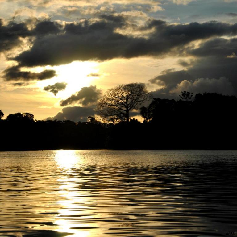 Couché de soleil derrière un fromager, Belikampoe