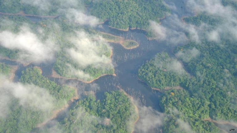 Le lac vu d'en haut