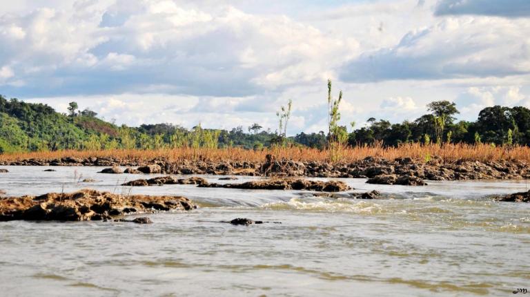 Fleuve, Roche, Fleurs