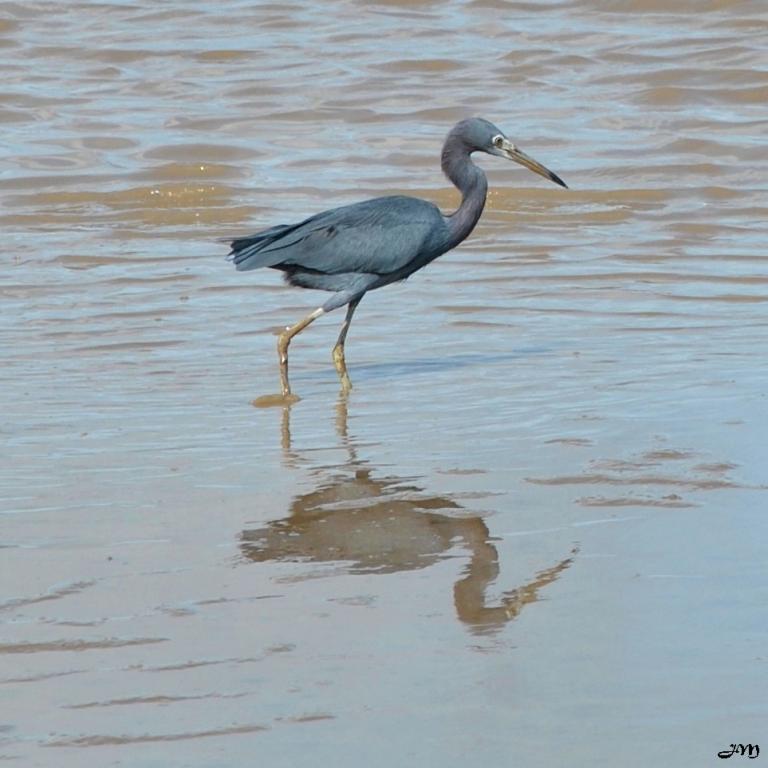 Alone on the beach