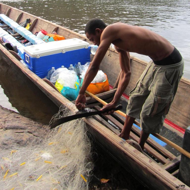 Récupération des poissons