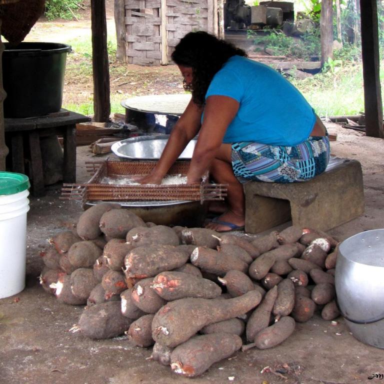 Préparation du manioc