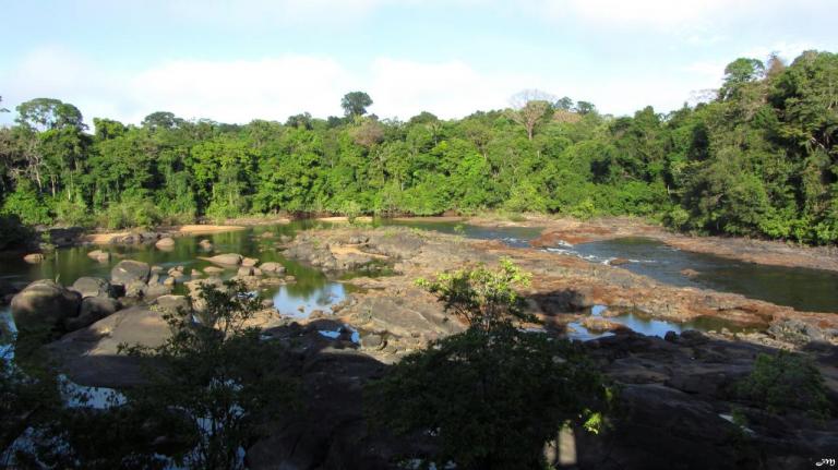 Vue du hamac