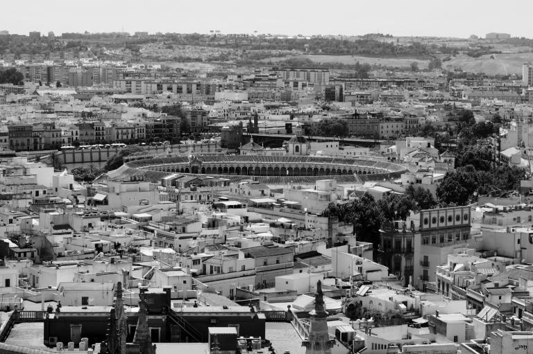 Vue sur les toits 3 - Les Arènes