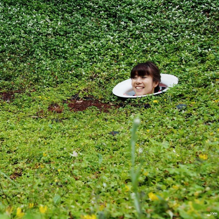 Bouffée d'herbe en pleine ville