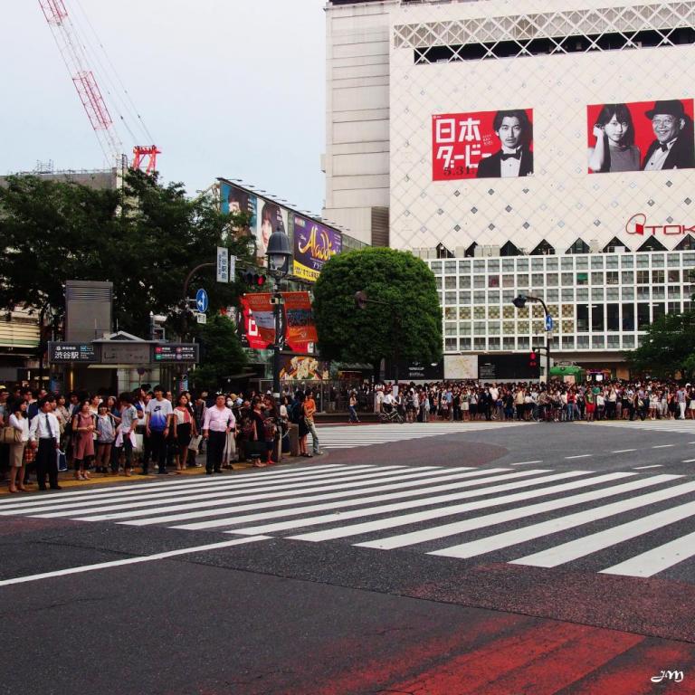 Shibuya Crossing, feu rouge piéton