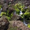 Water, Rock and moss