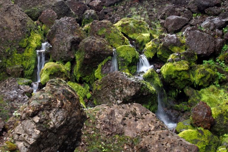 Water, Rock and moss