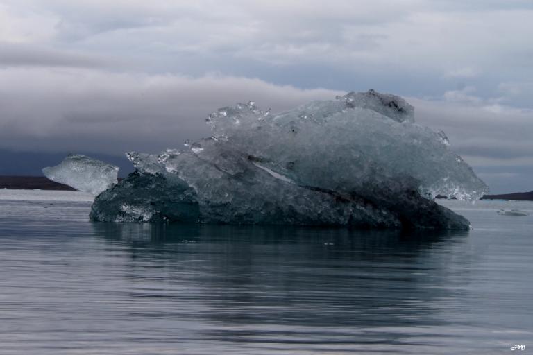 Jökulsarlon iceducks