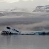 Jökulsarlon fog