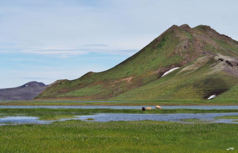 Approching Landmannalaugar 2