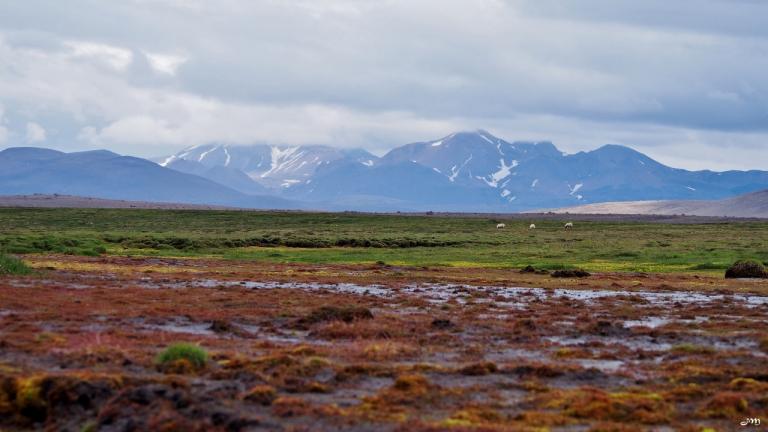 Hvitarvatn lake surroundings