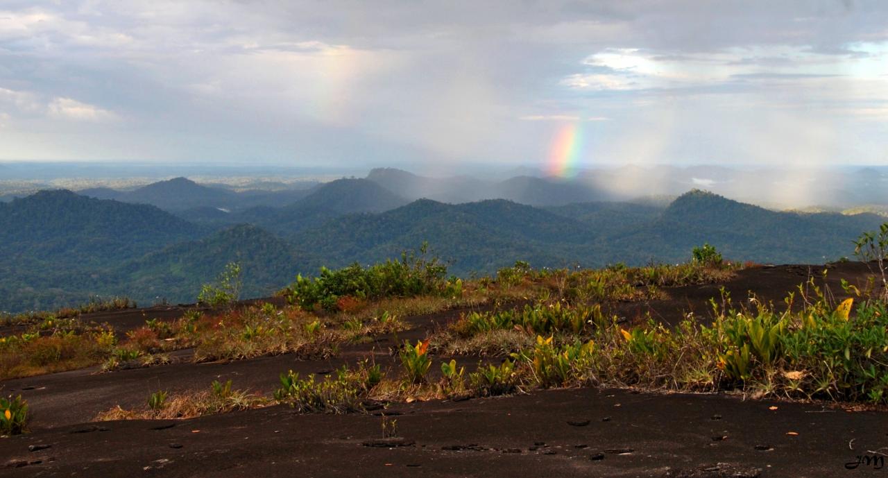 Inselbergs du plateau des Guyanes