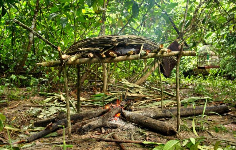 Aïmaras sur le boucan, et pikolet!