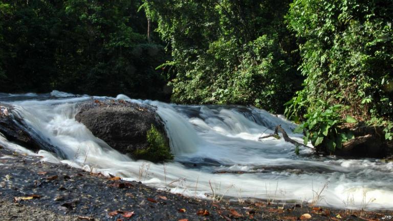 A l'amont des chutes